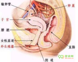 尿路感染