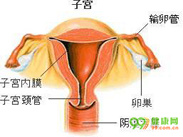 避孕后闭经综合征