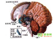 痴呆综合征